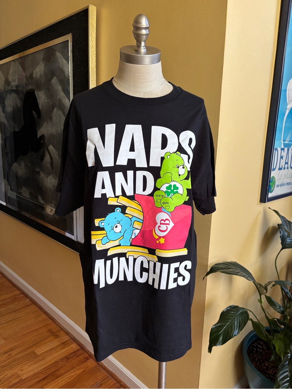care bears tahirt